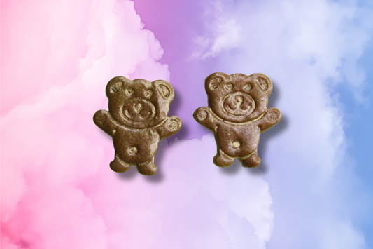 Gold Teddy Bear Studs