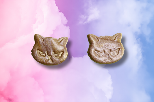 Orange Grumpy Cat Studs