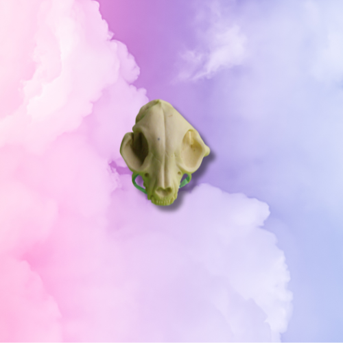 Cat Skull Large Ring