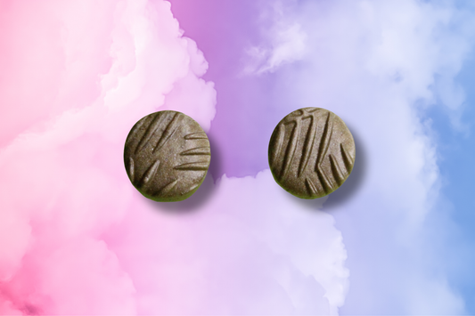 Gold Palm Print Circle Studs