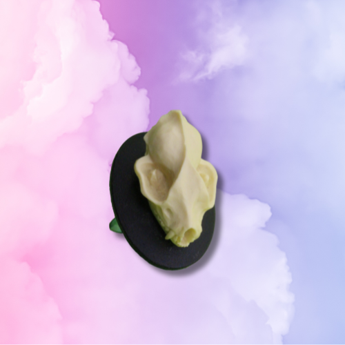 Bat Skull Large Ring
