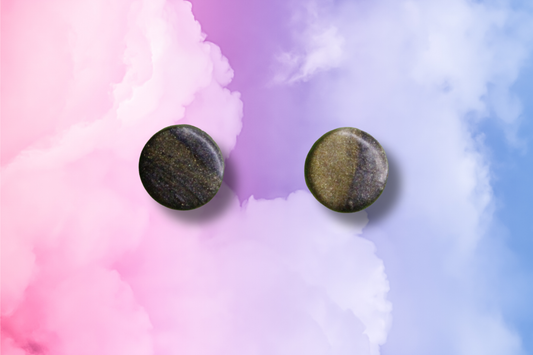 Black and Gold Circle Studs