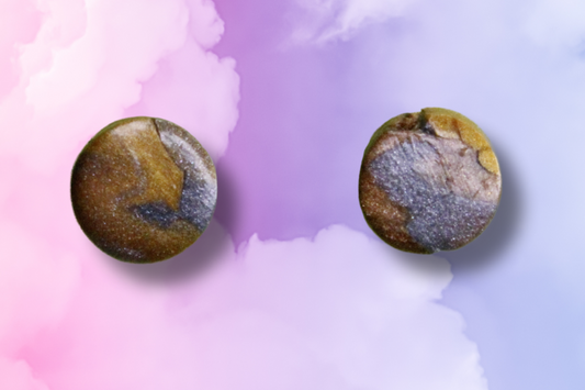 Round earrings with a bronze and silver design on a colorful watercolor background