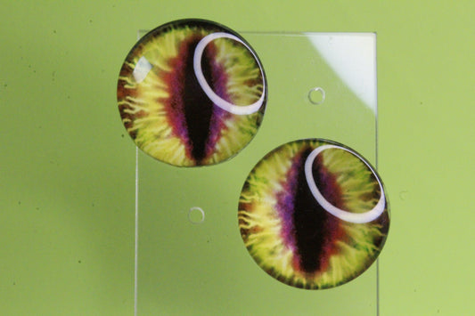 Dragon Eye Studs